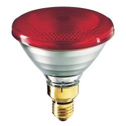 PAR38 IR 175W E27 230V Red 1CT